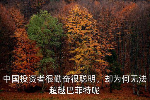 中國(guó)投資者很勤奮很聰明，卻為何無法超越巴菲特呢