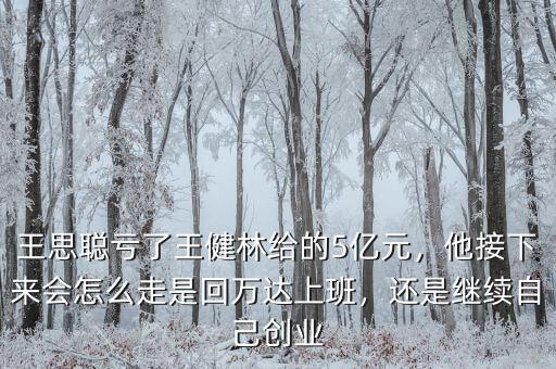 王思聰虧了王健林給的5億元，他接下來(lái)會(huì)怎么走是回萬(wàn)達(dá)上班，還是繼續(xù)自己創(chuàng)業(yè)