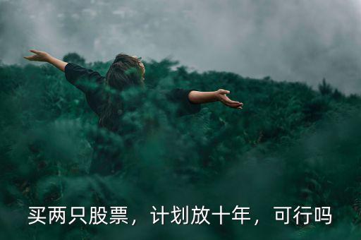 買(mǎi)兩只股票，計(jì)劃放十年，可行嗎