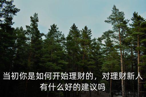當(dāng)初你是如何開(kāi)始理財(cái)?shù)?，?duì)理財(cái)新人有什么好的建議嗎