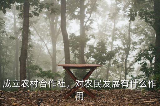 成立農(nóng)村合作社，對農(nóng)民發(fā)展有什么作用