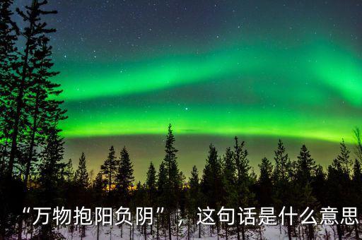 “萬物抱陽負陰”，這句話是什么意思