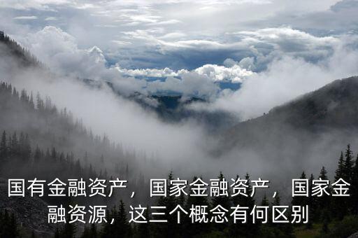 國有金融資產(chǎn)，國家金融資產(chǎn)，國家金融資源，這三個概念有何區(qū)別