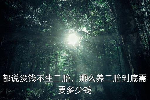 都說沒錢不生二胎，那么養(yǎng)二胎到底需要多少錢