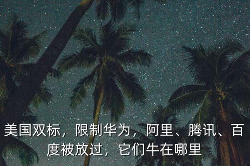 美國雙標(biāo)，限制華為，阿里、騰訊、百度被放過，它們牛在哪里