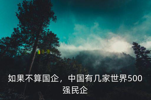 如果不算國企，中國有幾家世界500強民企