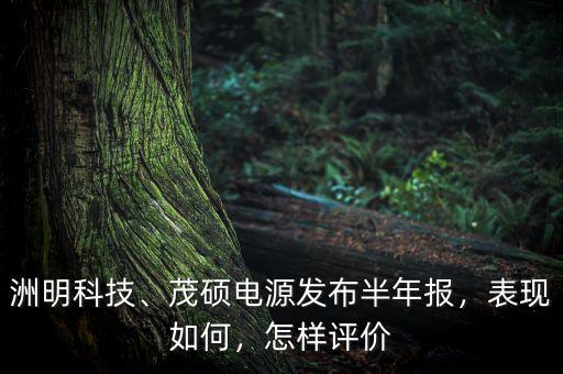 洲明科技、茂碩電源發(fā)布半年報(bào)，表現(xiàn)如何，怎樣評(píng)價(jià)