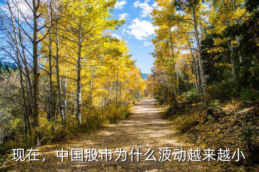 現(xiàn)在，中國股市為什么波動越來越小