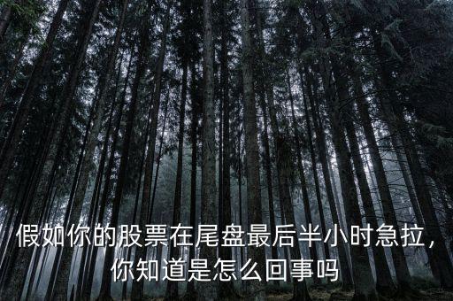 假如你的股票在尾盤最后半小時急拉，你知道是怎么回事嗎