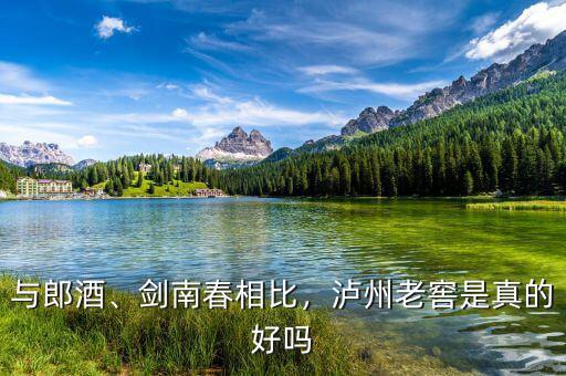 與郎酒、劍南春相比，瀘州老窖是真的好嗎