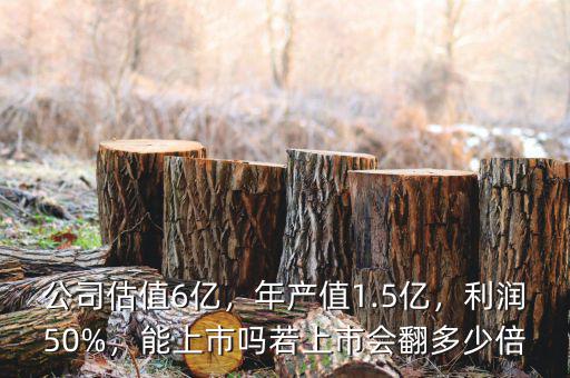 公司估值6億，年產(chǎn)值1.5億，利潤50%，能上市嗎若上市會翻多少倍