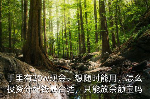 手里有20w現(xiàn)金，想隨時能用，怎么投資分配錢最合適，只能放余額寶嗎