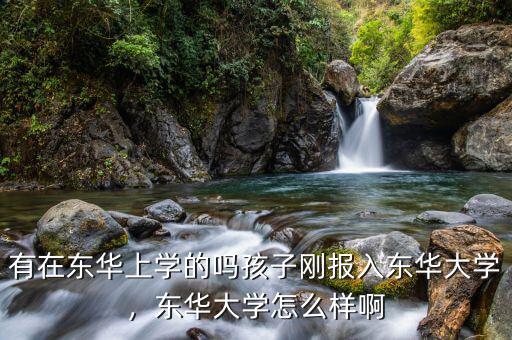 有在東華上學(xué)的嗎孩子剛報(bào)入東華大學(xué)，東華大學(xué)怎么樣啊