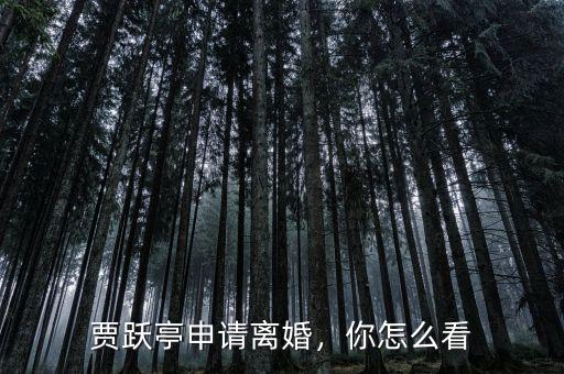 賈躍亭申請(qǐng)離婚，你怎么看
