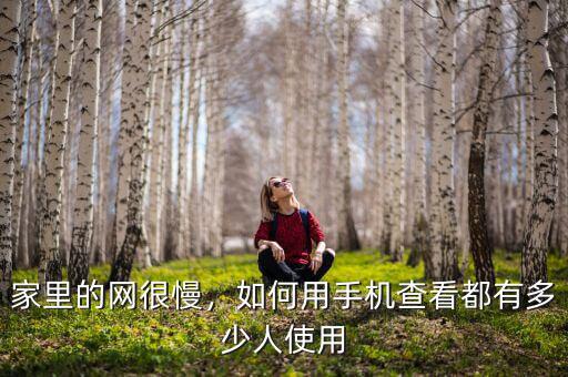 家里的網(wǎng)很慢，如何用手機查看都有多少人使用