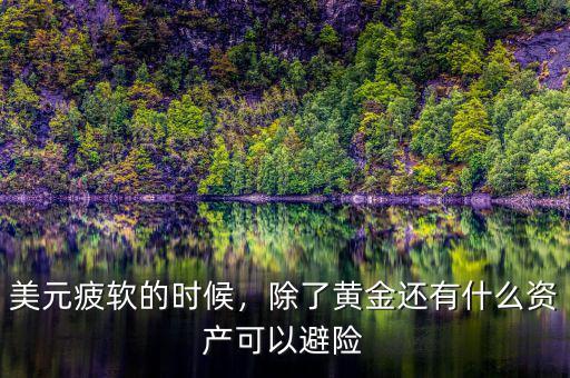 美元疲軟的時候，除了黃金還有什么資產(chǎn)可以避險
