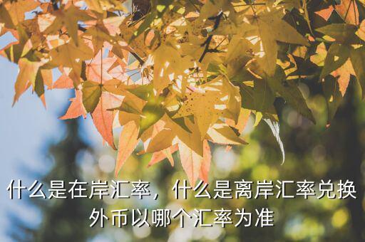 什么是在岸匯率，什么是離岸匯率兌換外幣以哪個匯率為準