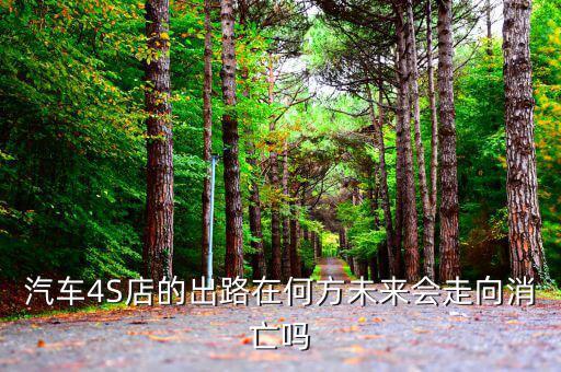 汽車(chē)4s店為什么要壟斷,為什么汽車(chē)廠(chǎng)家不直售