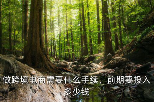 做跨境電商需要什么手續(xù)，前期要投入多少錢