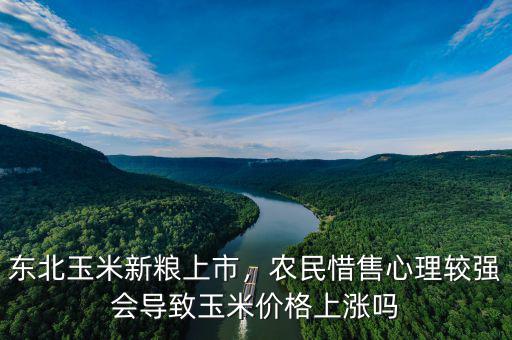 東北玉米新糧上市，農(nóng)民惜售心理較強(qiáng)會導(dǎo)致玉米價格上漲嗎