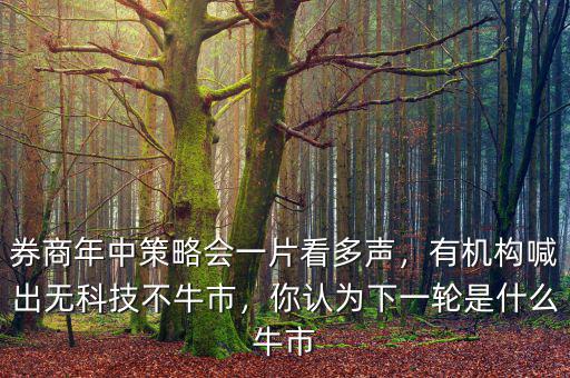 券商年中策略會(huì)一片看多聲，有機(jī)構(gòu)喊出無科技不牛市，你認(rèn)為下一輪是什么牛市