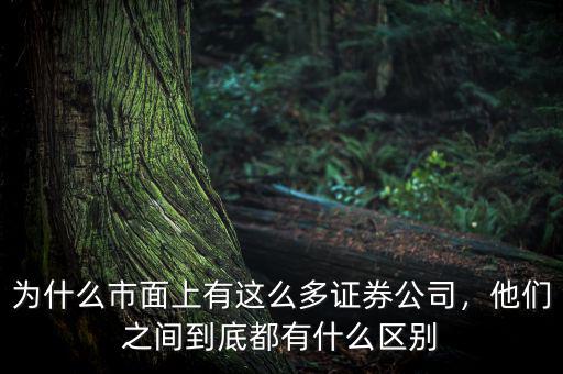 為什么市面上有這么多證券公司，他們之間到底都有什么區(qū)別