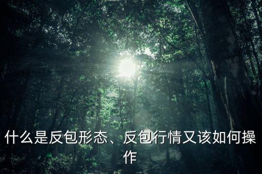 什么是反包形態(tài)、反包行情又該如何操作