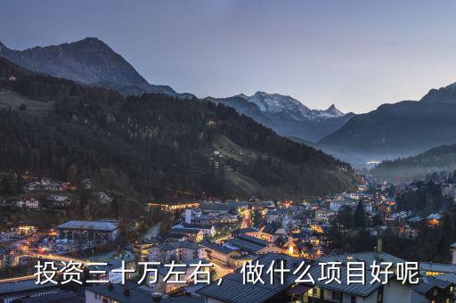投資三十萬左右，做什么項目好呢