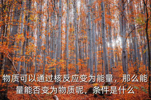 物質(zhì)可以通過(guò)核反應(yīng)變?yōu)槟芰?，那么能量能否變?yōu)槲镔|(zhì)呢，條件是什么