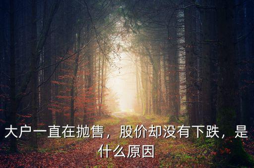 什么是股票拋售,大戶(hù)一直在拋售