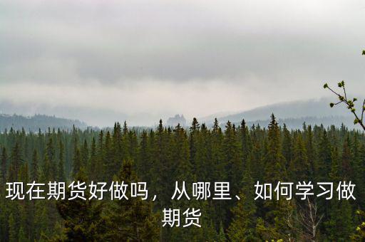 現(xiàn)在期貨好做嗎，從哪里、如何學(xué)習(xí)做期貨