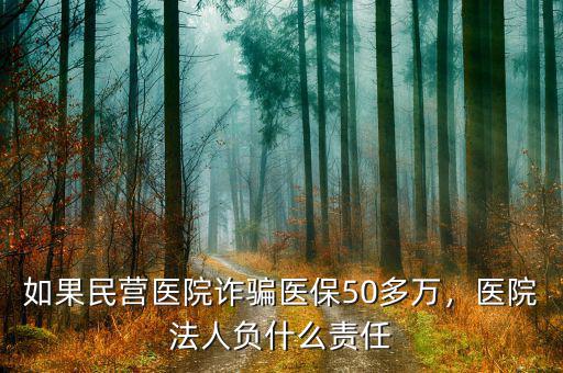 如果民營醫(yī)院詐騙醫(yī)保50多萬，醫(yī)院法人負什么責任