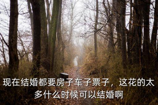 現(xiàn)在結(jié)婚都要房子車子票子，這花的太多什么時候可以結(jié)婚啊