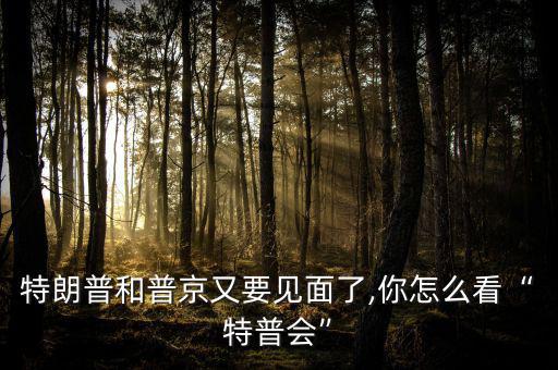 怎么和普京聯系,你怎么看特普會