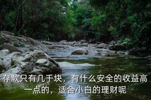 存款只有幾千塊，有什么安全的收益高一點(diǎn)的，適合小白的理財(cái)呢