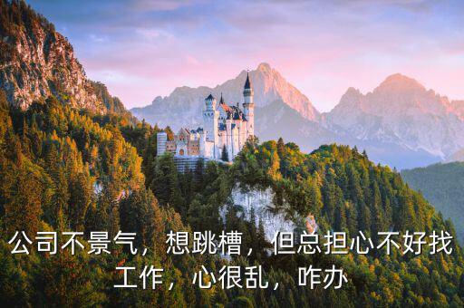 公司不景氣，想跳槽，但總擔(dān)心不好找工作，心很亂，咋辦