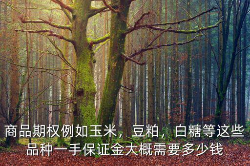 商品期權(quán)例如玉米，豆粕，白糖等這些品種一手保證金大概需要多少錢