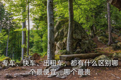 專車、快車、出租車，都有什么區(qū)別哪個最便宜，哪個最貴