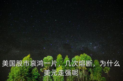 美國股市哀鴻一片，幾次熔斷，為什么美元走強呢