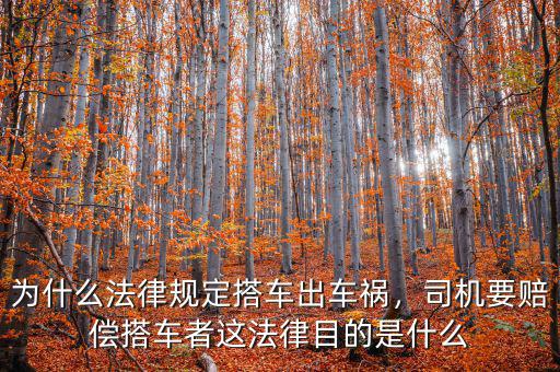 為什么法律規(guī)定搭車出車禍，司機要賠償搭車者這法律目的是什么