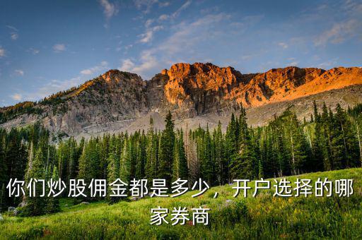 你們炒股傭金都是多少，開戶選擇的哪家券商