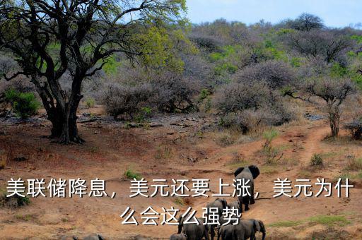 美聯(lián)儲(chǔ)降息，美元還要上漲，美元為什么會(huì)這么強(qiáng)勢(shì)