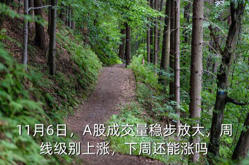 11月6日，A股成交量穩(wěn)步放大，周線級(jí)別上漲，下周還能漲嗎