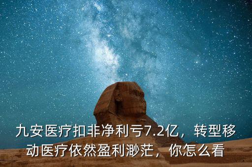 九安醫(yī)療扣非凈利虧7.2億，轉(zhuǎn)型移動(dòng)醫(yī)療依然盈利渺茫，你怎么看
