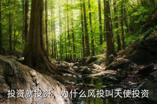 投資就投資，為什么風(fēng)投叫天使投資