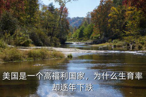美國是一個(gè)高福利國家，為什么生育率卻逐年下跌