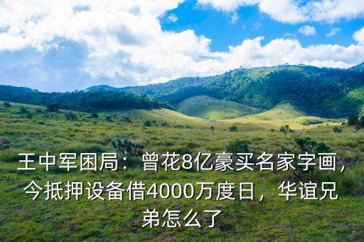 王中軍困局：曾花8億豪買名家字畫，今抵押設(shè)備借4000萬度日，華誼兄弟怎么了