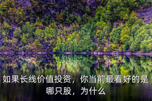 如果長線價值投資，你當(dāng)前最看好的是哪只股，為什么