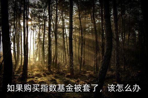 如果購買指數基金被套了，該怎么辦
