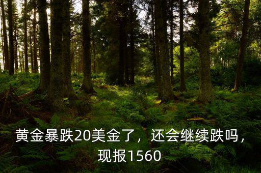 黃金暴跌20美金了，還會繼續(xù)跌嗎，現(xiàn)報1560
